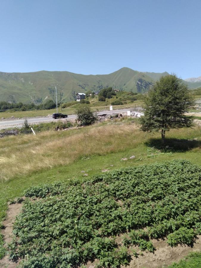 Family Hotel Mtamta Goedaoeri Buitenkant foto